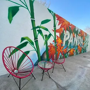 Panda Albergue Mendoza